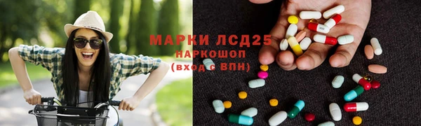 PSILOCYBIN Остров