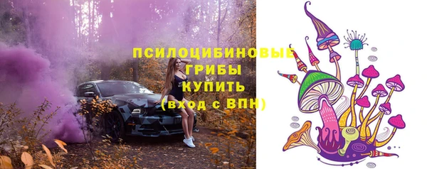 мет Осташков