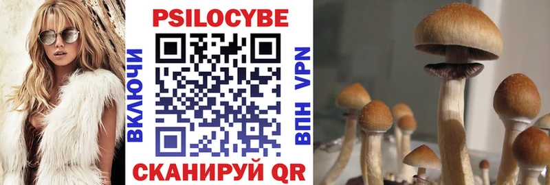 где купить наркоту  Лодейное Поле  Галлюциногенные грибы Magic Shrooms 